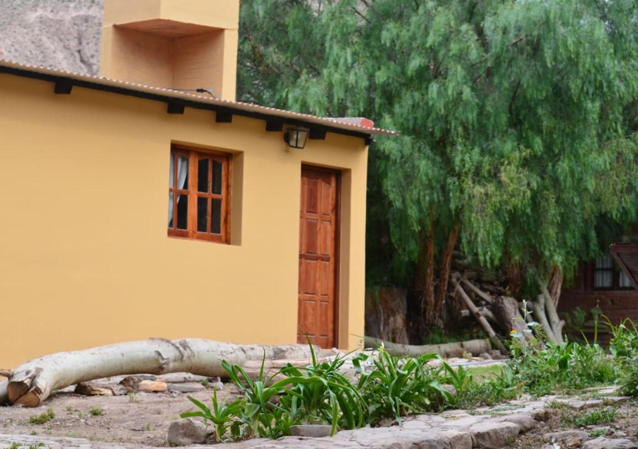 Hostal La Albahaca Тилькара Экстерьер фото